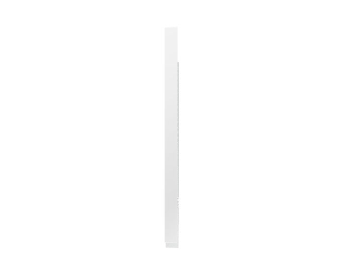 Samsung Flip PRO Interaktyvus Ekranas - 65"