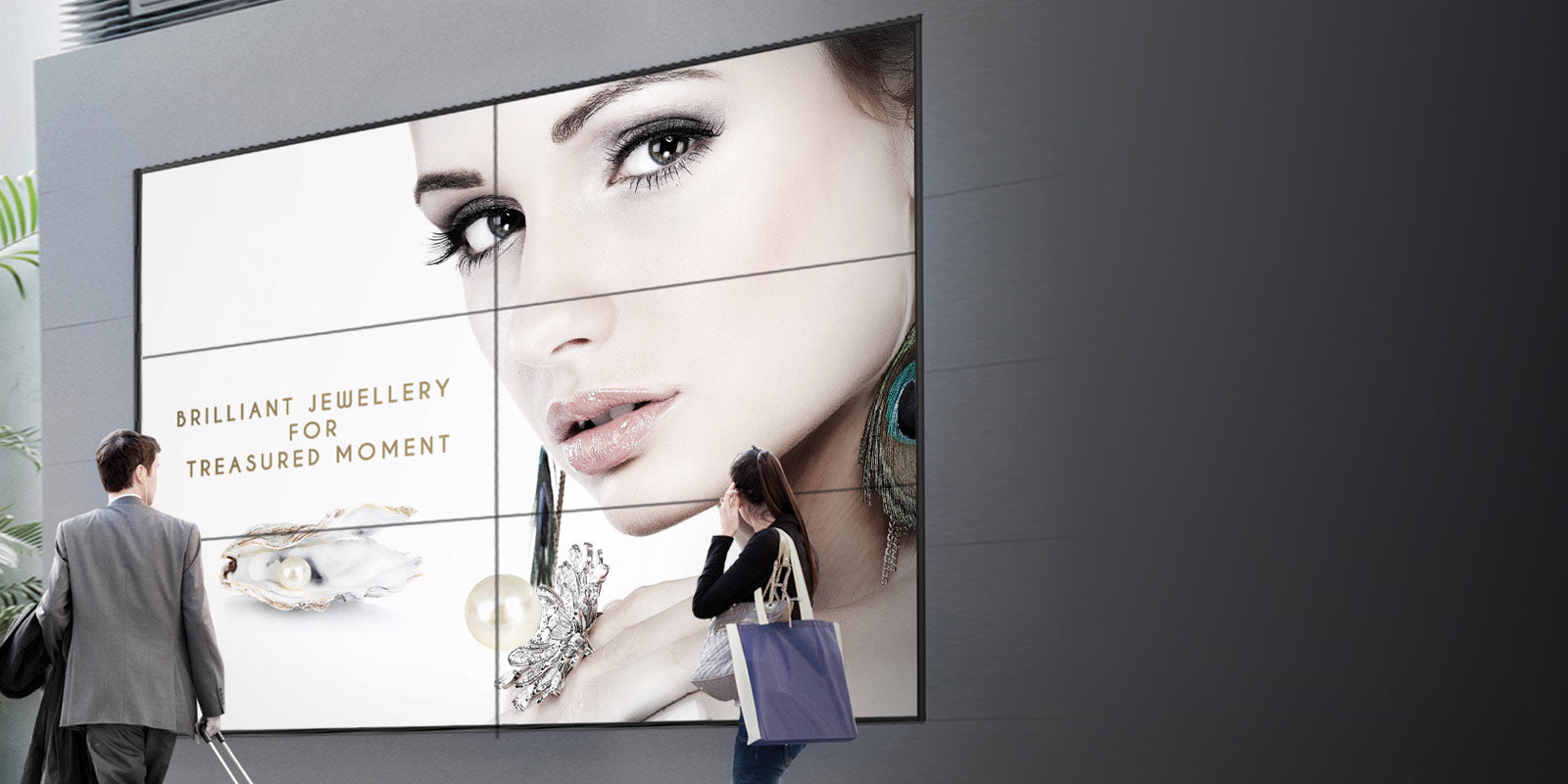 LG Video-Wall OLED Signage 55" - 55EV5D