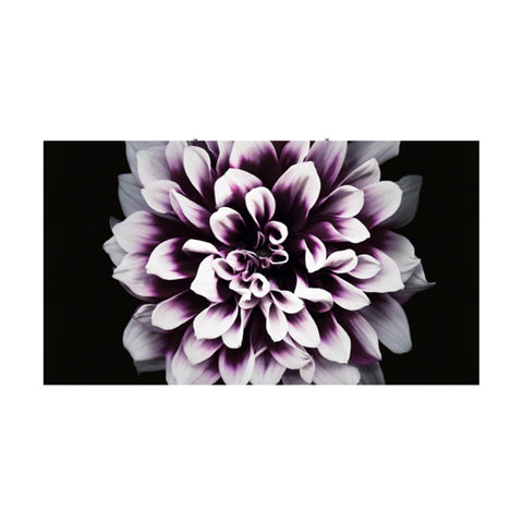 Samsung The Wall - MicroLED Video Wall Display