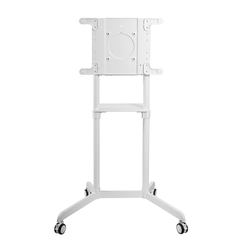 NEOMOUNTS floor stand 37-75" BALTAS - sukiojasi