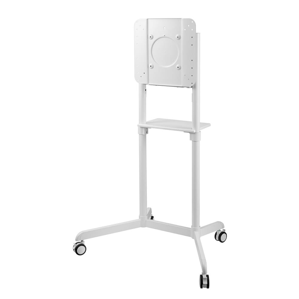 NEOMOUNTS floor stand 37-75" BALTAS - sukiojasi