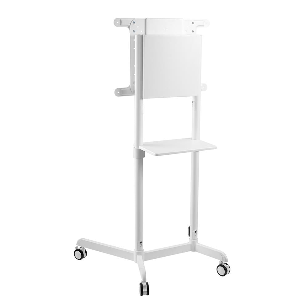 NEOMOUNTS floor stand 37-75" BALTAS - sukiojasi